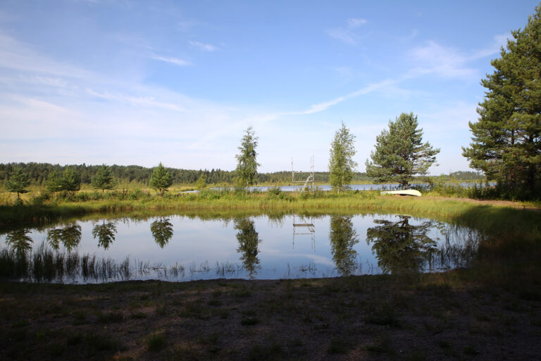 lampi metsän keskellä