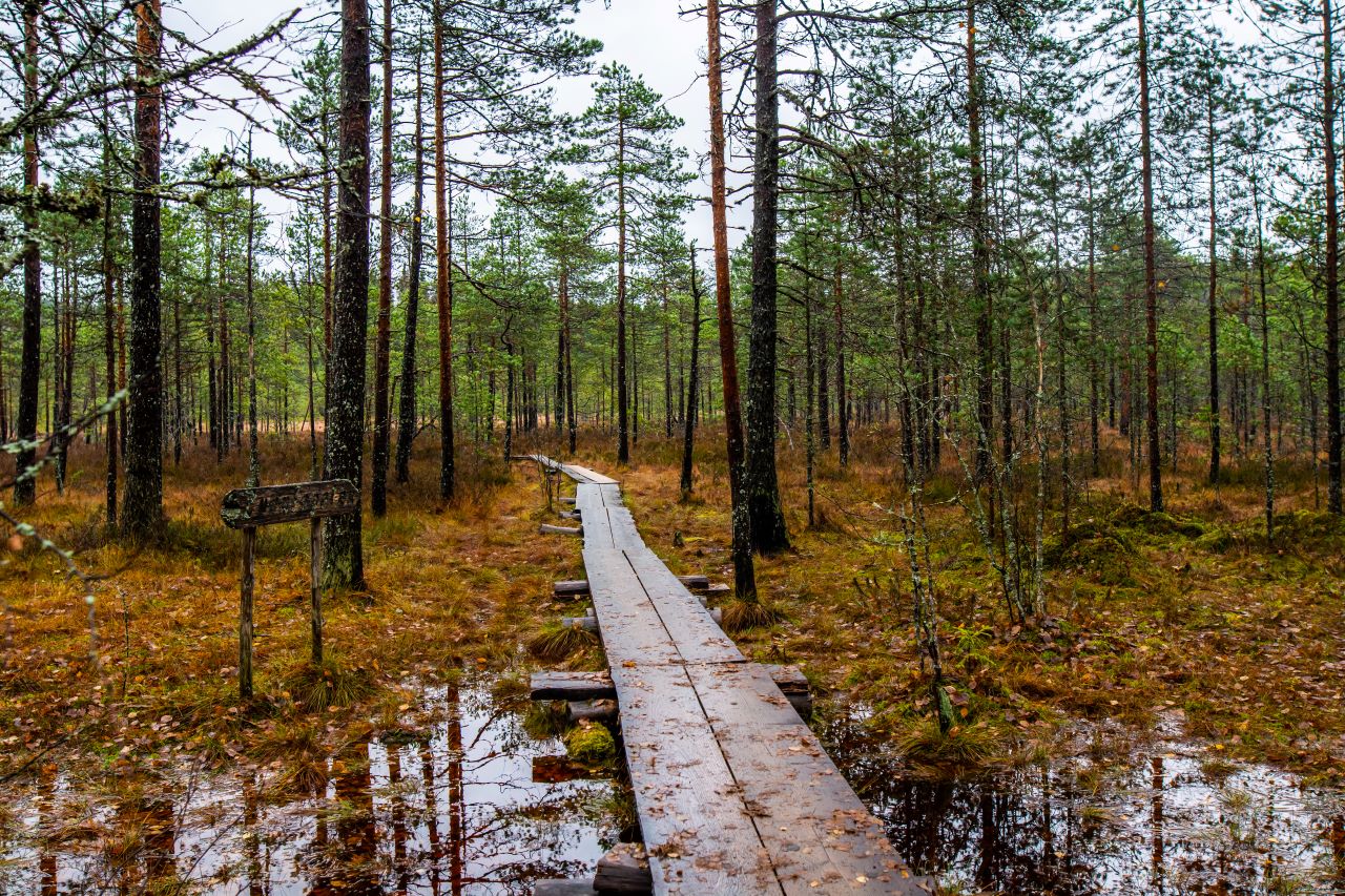 Nature Reserves Hollola