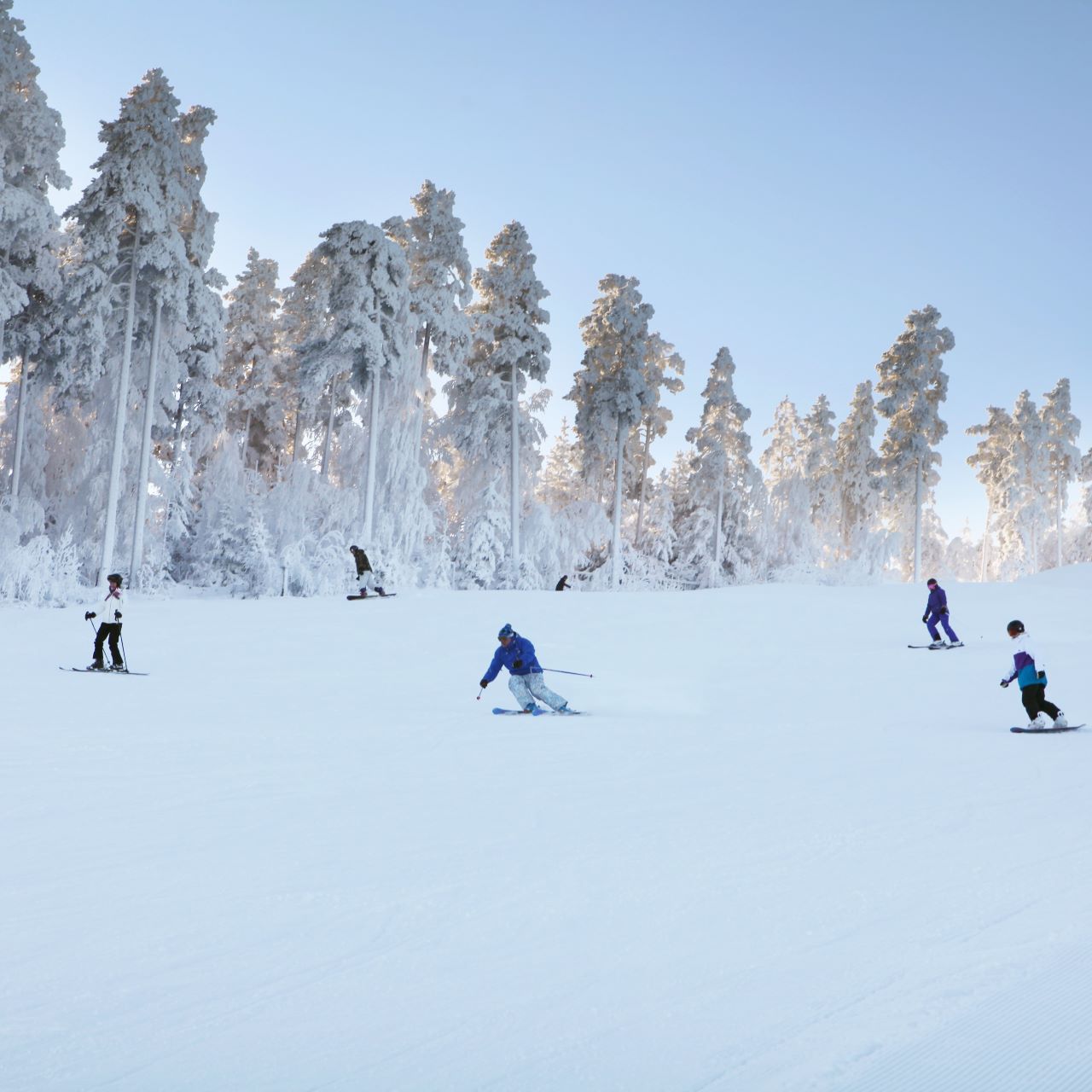 Laskettelijoita rinteessä.