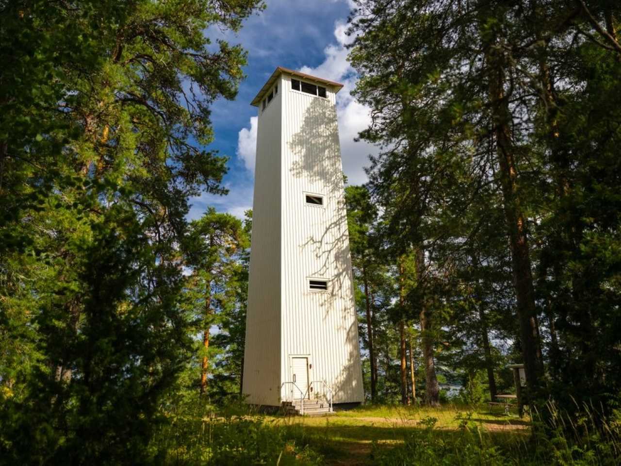 Valkoiseksi maalattu puinen torni kohoaa metsän keskellä.