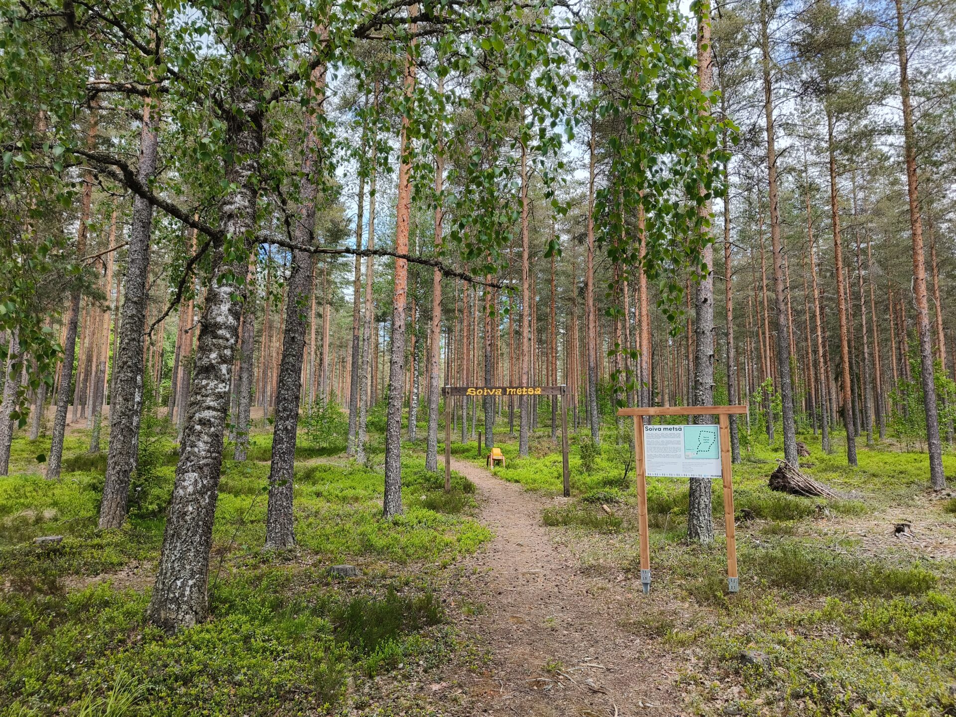 Soiva metsä -luontopolun portti mäntymetsässä.