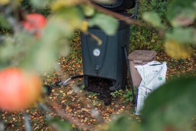 Komposti näkyy puusta pudonneiden lehtien keskellä